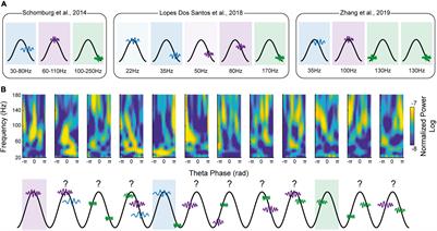 How Many Gammas? Redefining Hippocampal Theta-Gamma Dynamic During Spatial Learning